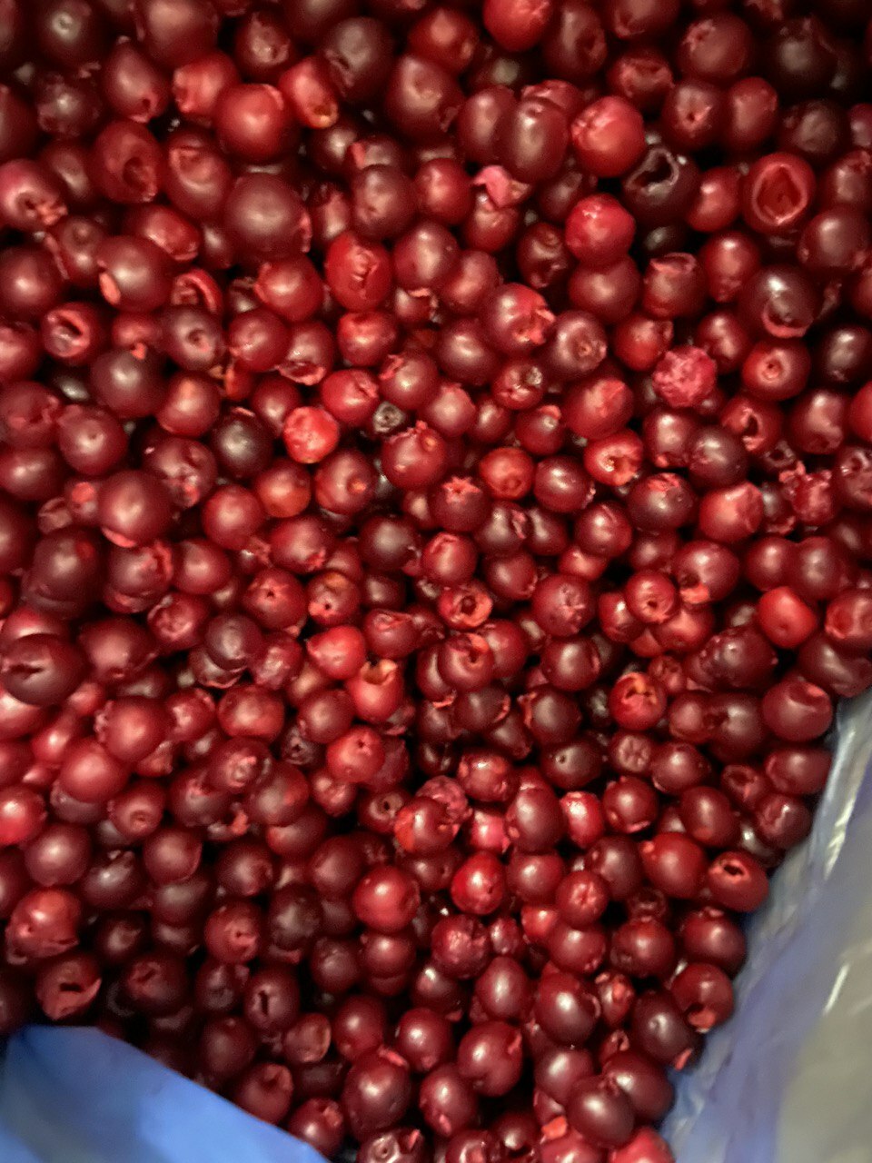 Вишня органічна заморожена без кісточки/Frozen organic&nbsp;pitted cherries