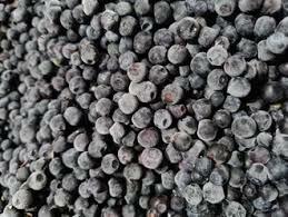 Чорниця органічна заморожена /Frozen organic wild blueberries