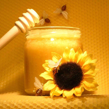 органічний мед сонях/Organic sunflower honey&nbsp;