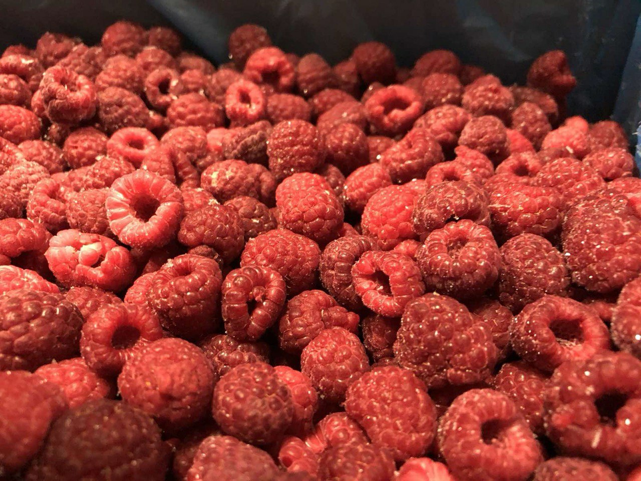 Малина органічна заморожена/Frozen organic Raspberry&nbsp;